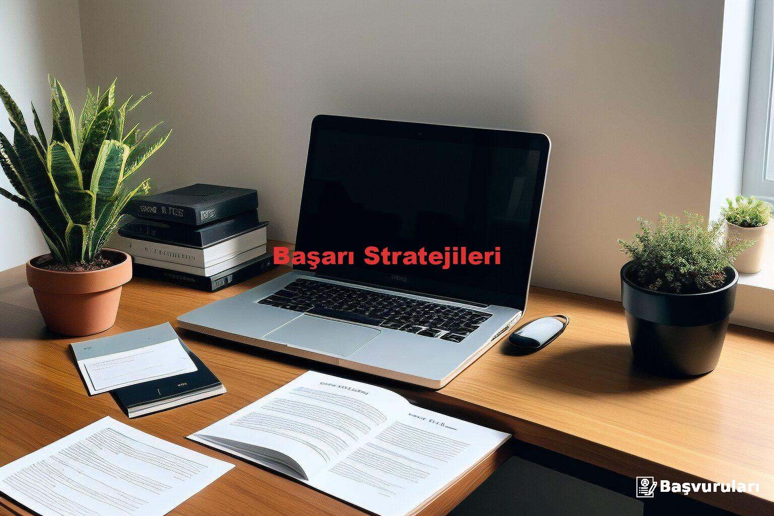 Başarı Stratejileri