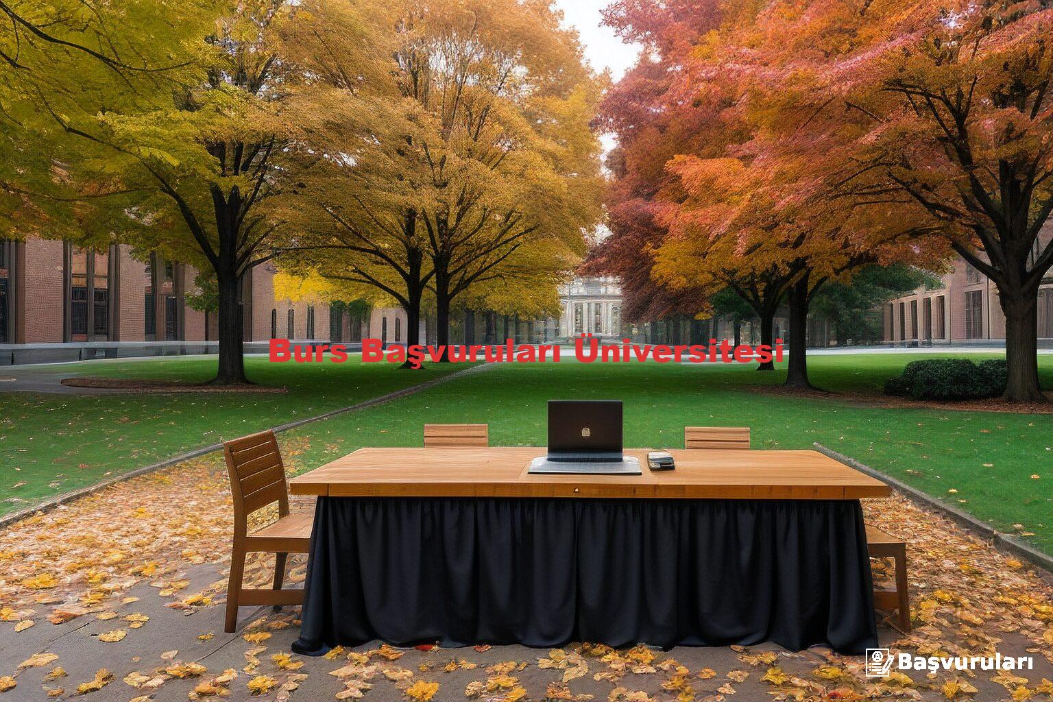 Burs Başvuruları Üniversitesi