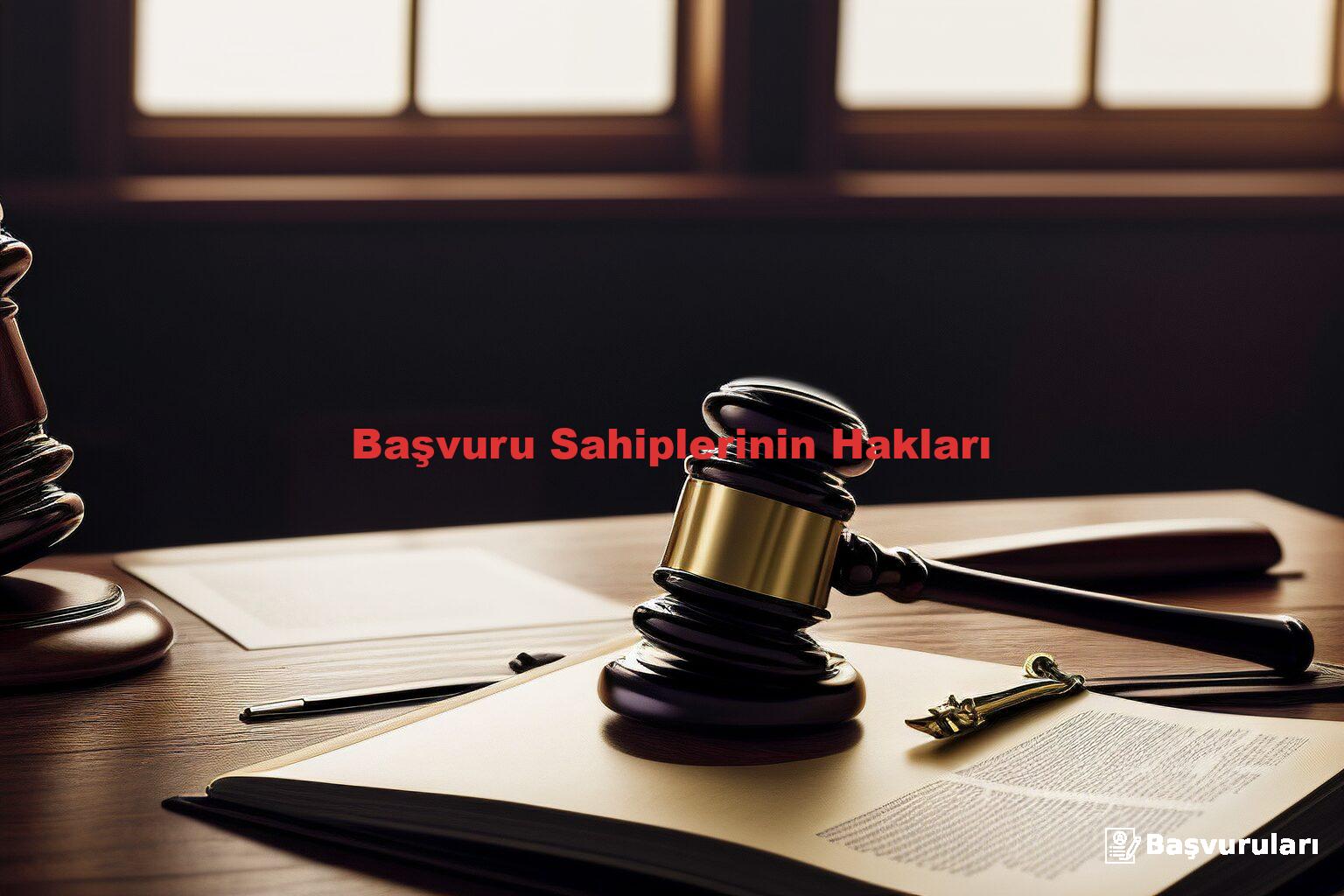 Başvuru Sahiplerinin Hakları
