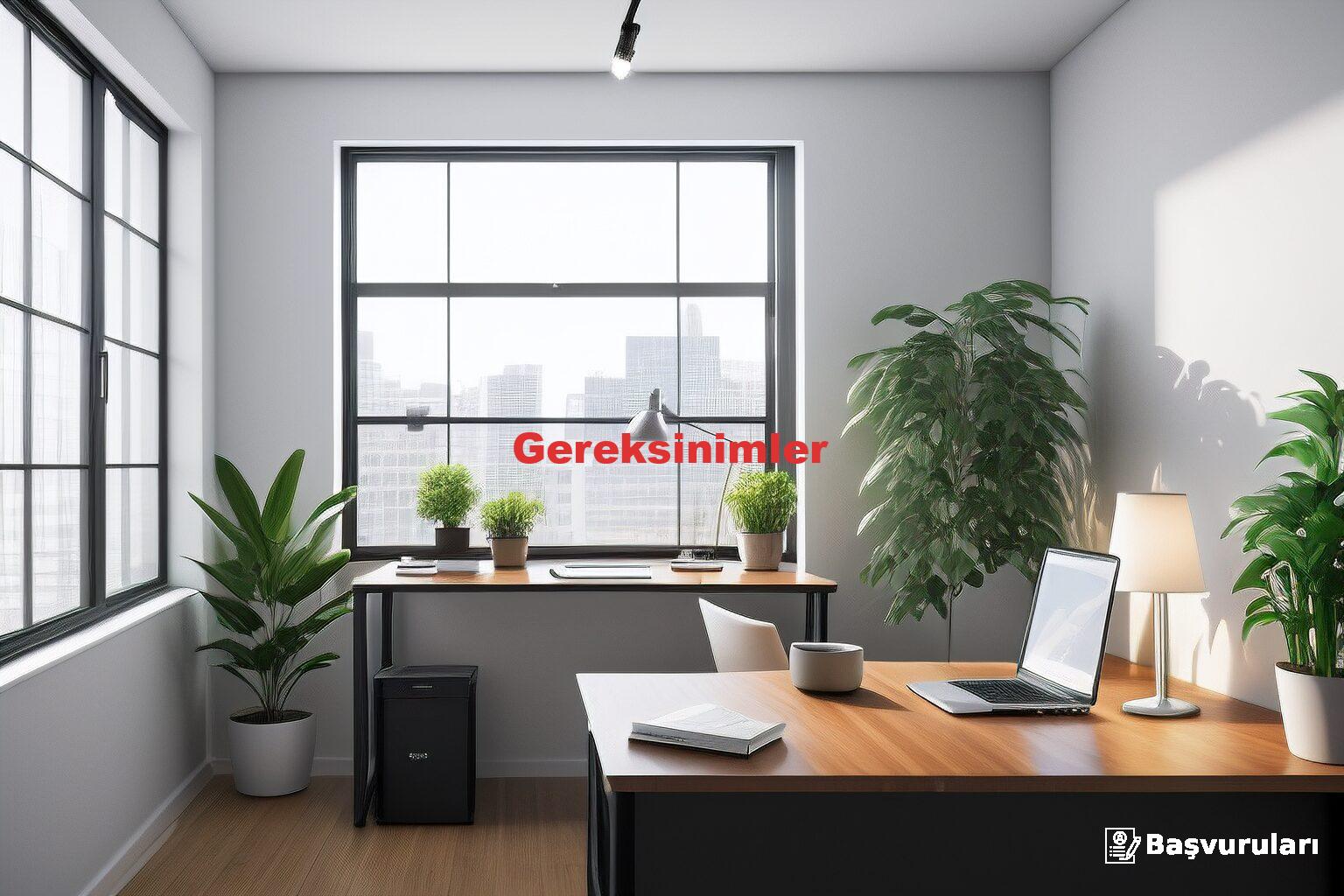 Gereksinimler