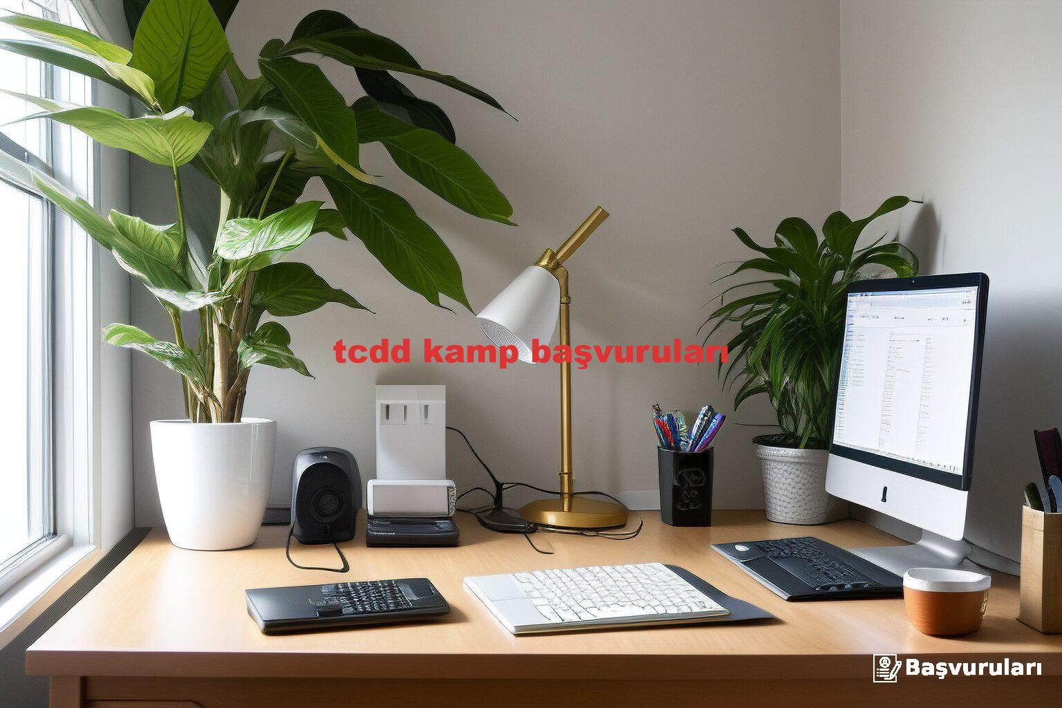 tcdd kamp başvuruları
