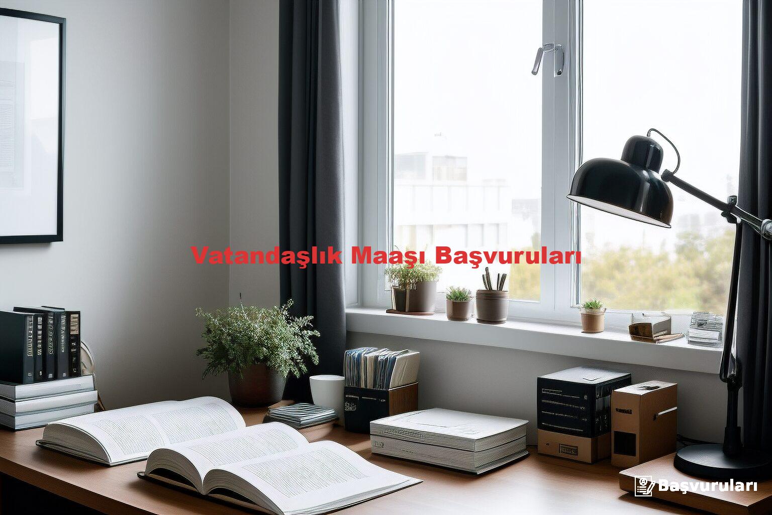 Vatandaşlık Maaşı Başvuruları