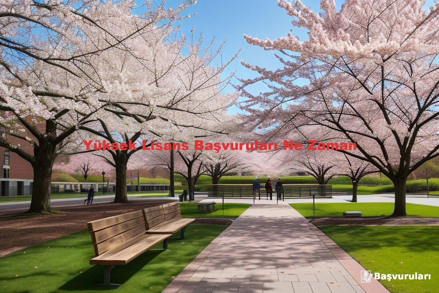 Yüksek Lisans Başvuruları Ne Zaman