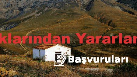 ABD İşsizlik Haklarından Yararlanma Başvuruları