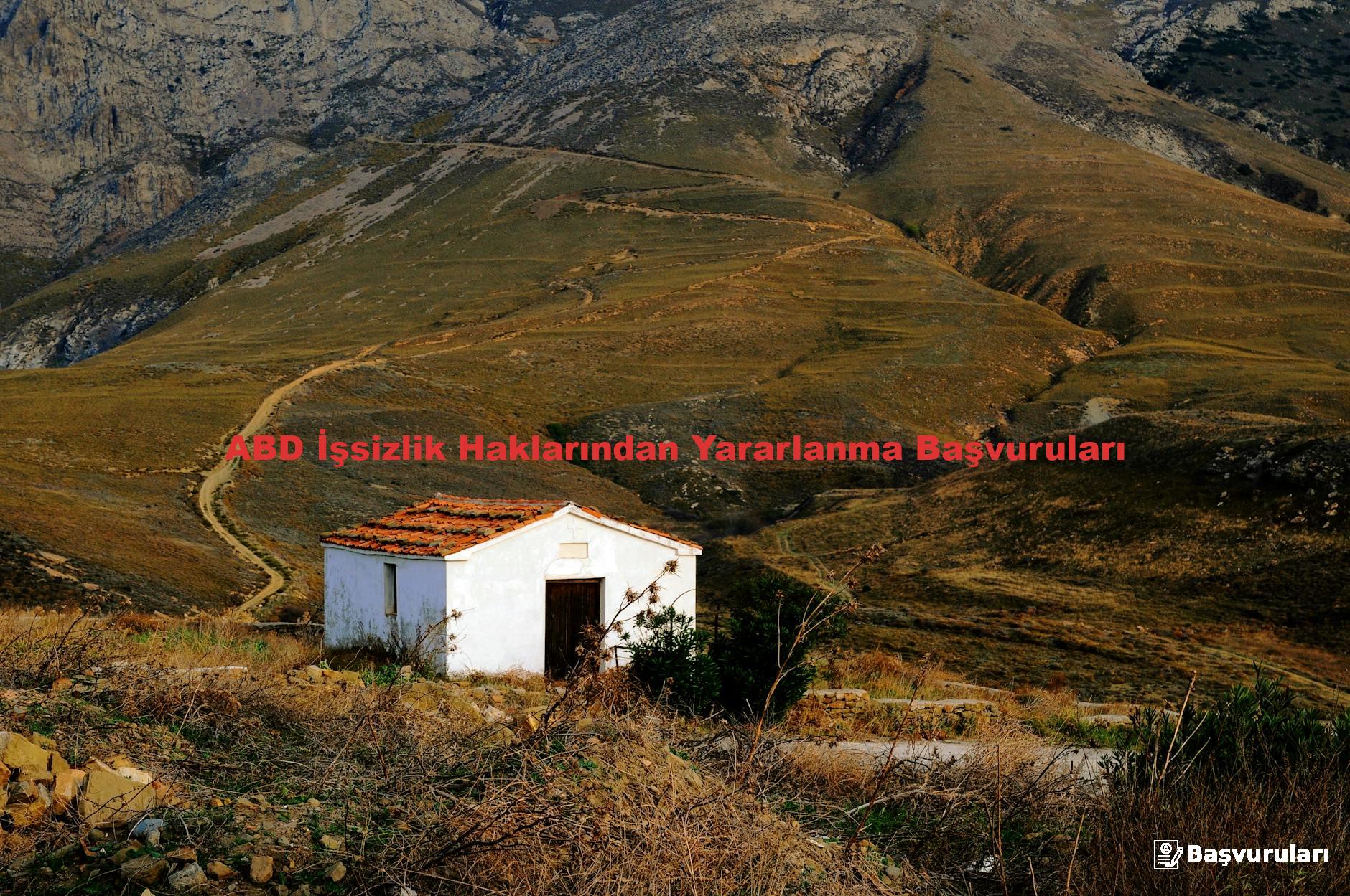 ABD İşsizlik Haklarından Yararlanma Başvuruları