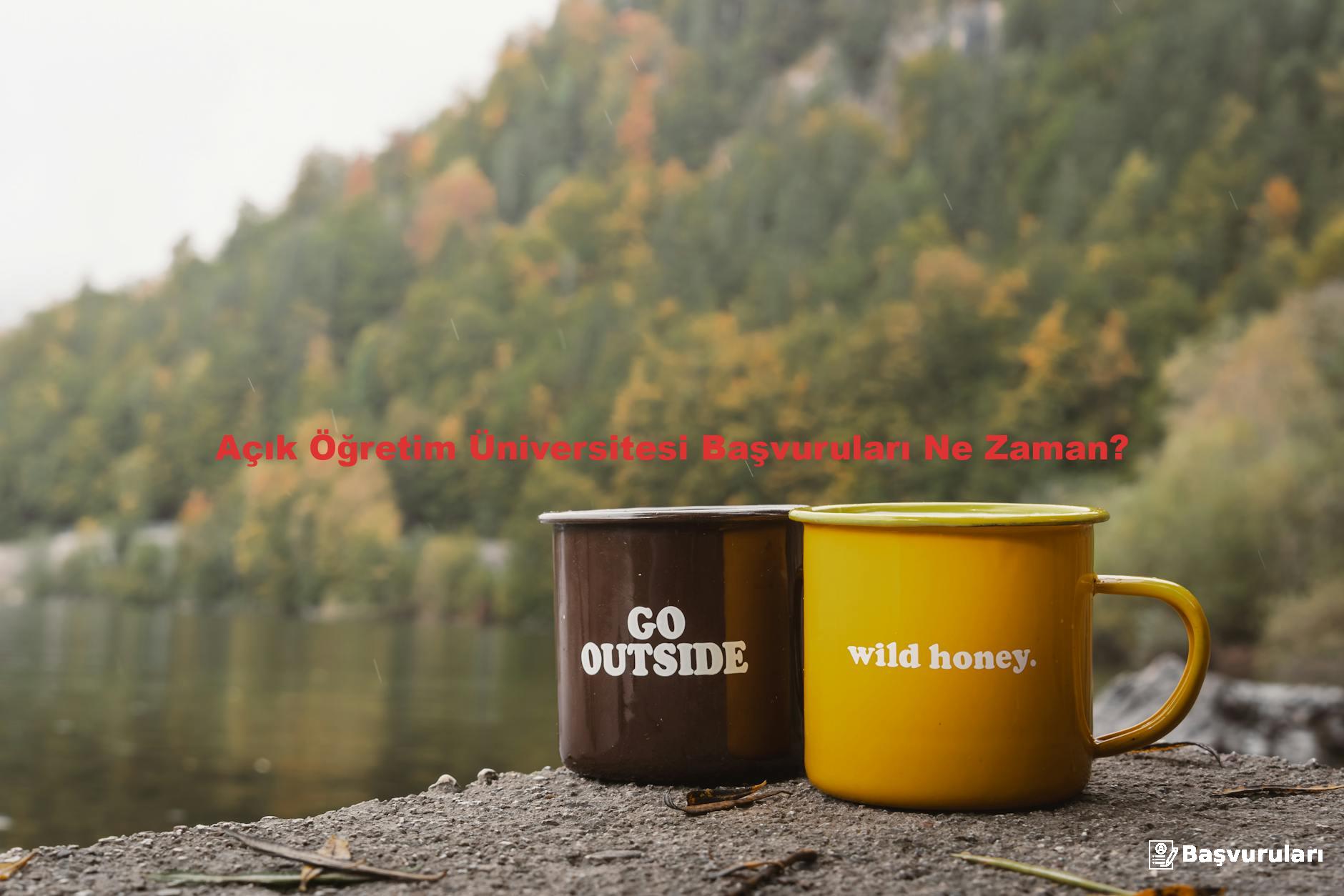 Açık Öğretim Üniversitesi Başvuruları Ne Zaman?