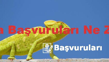 Atama Başvuruları Ne Zaman
