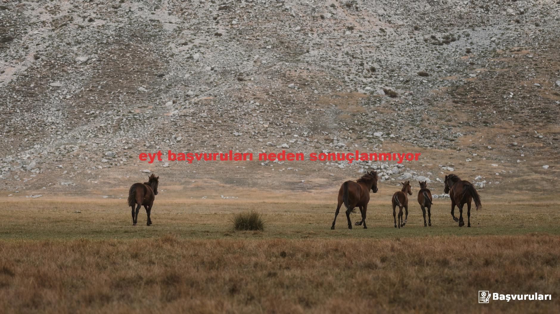 eyt başvuruları neden sonuçlanmıyor