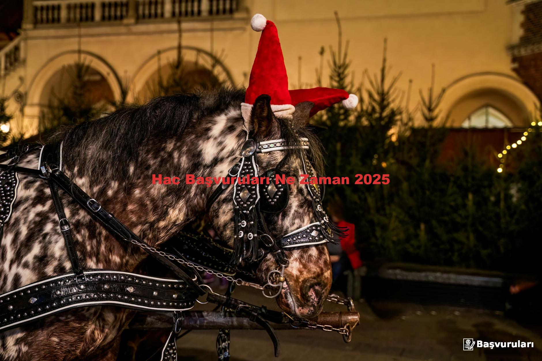 Hac Başvuruları Ne Zaman 2025