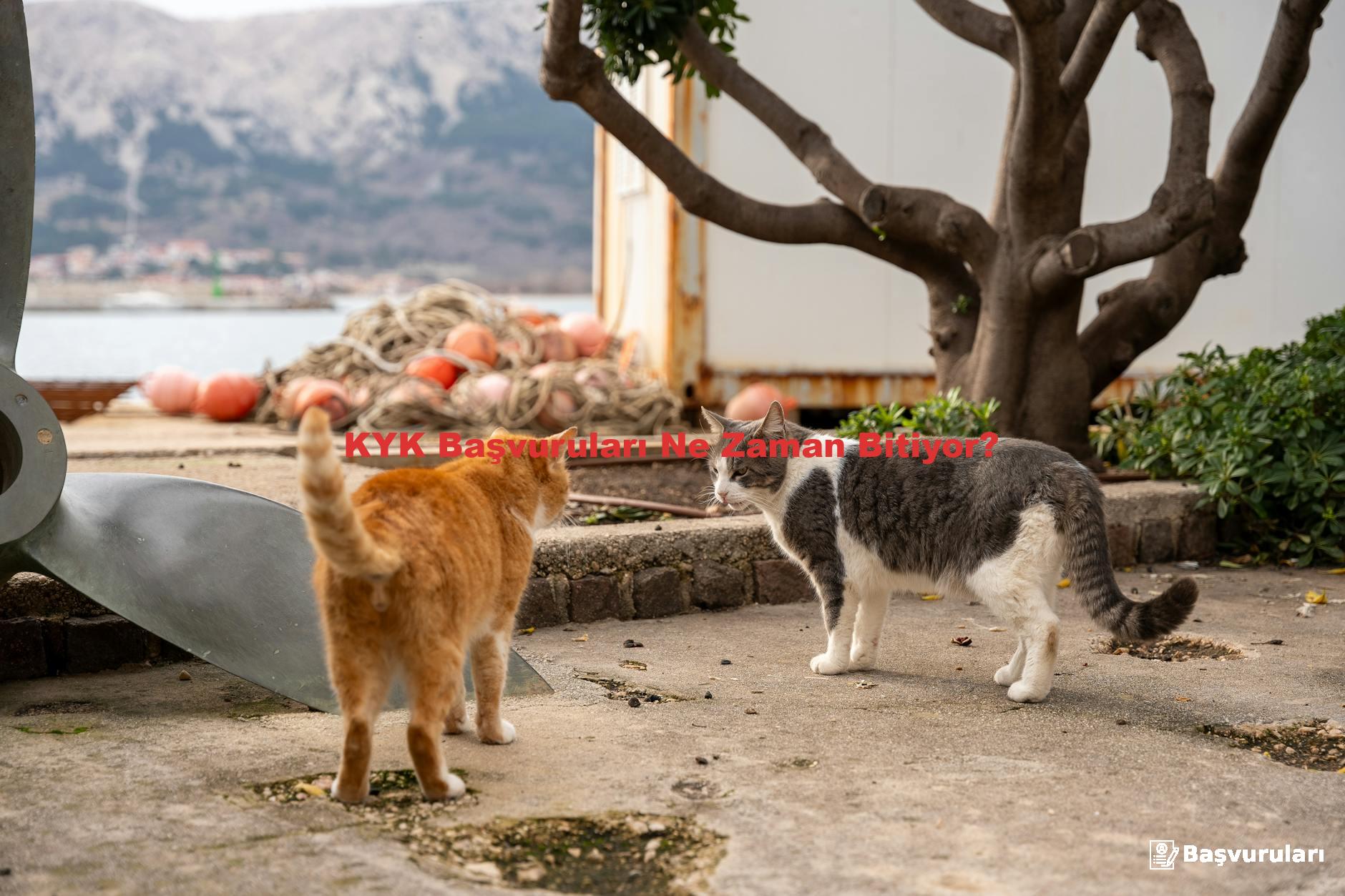 KYK Başvuruları Ne Zaman Bitiyor?