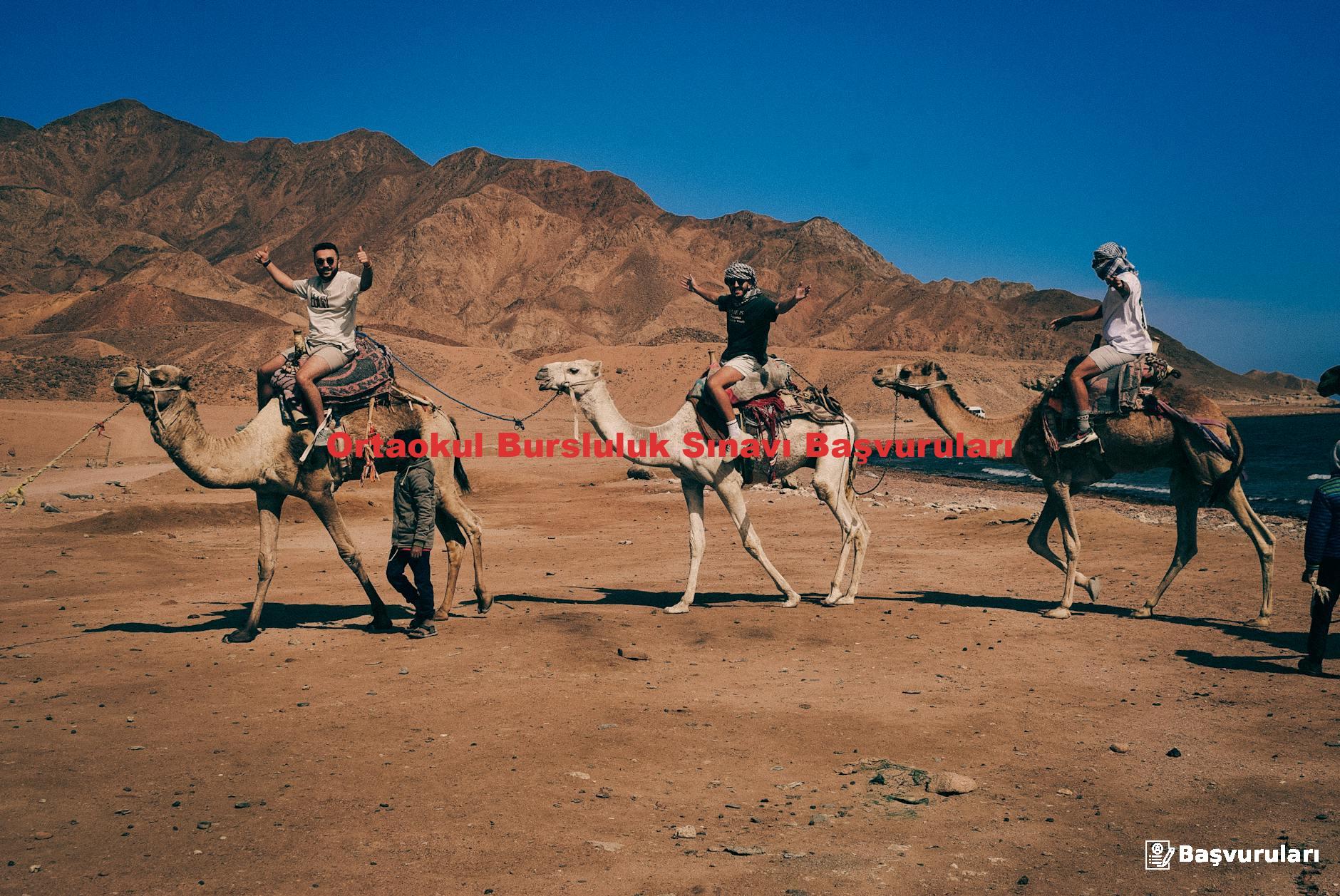 Ortaokul Bursluluk Sınavı Başvuruları