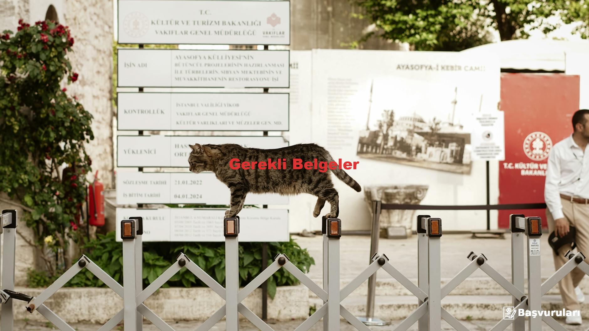 Gerekli Belgeler
