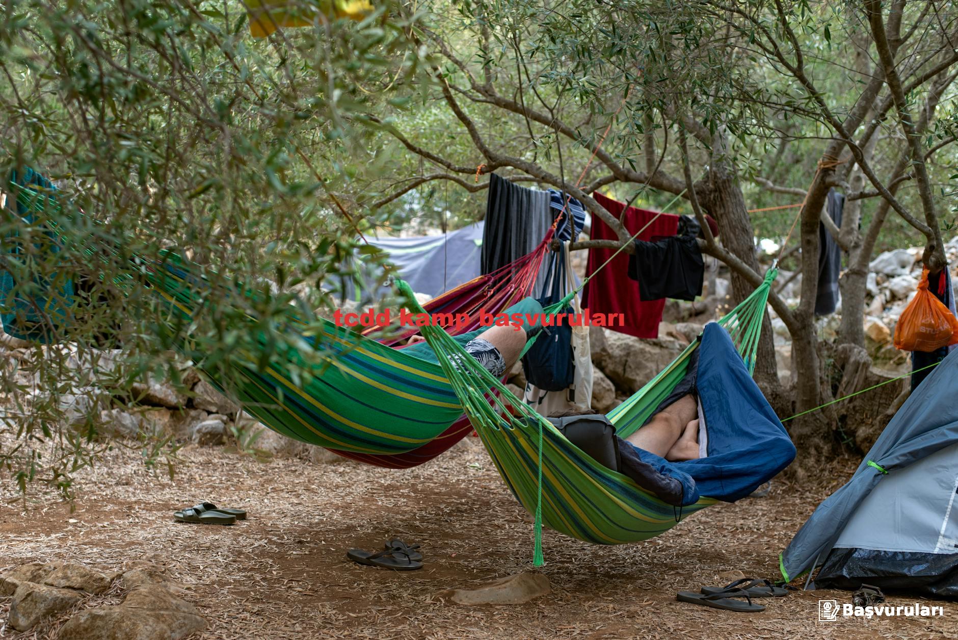 tcdd kamp başvuruları