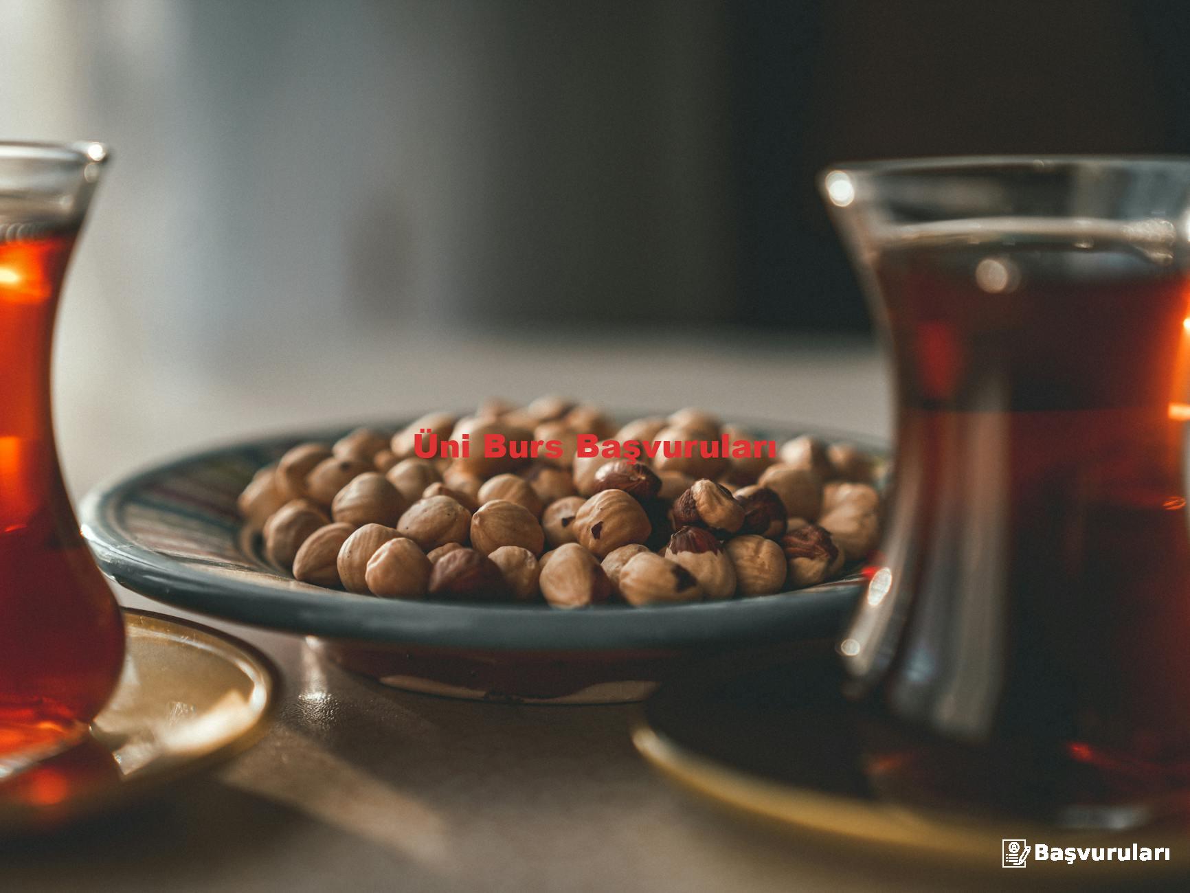 Üni Burs Başvuruları