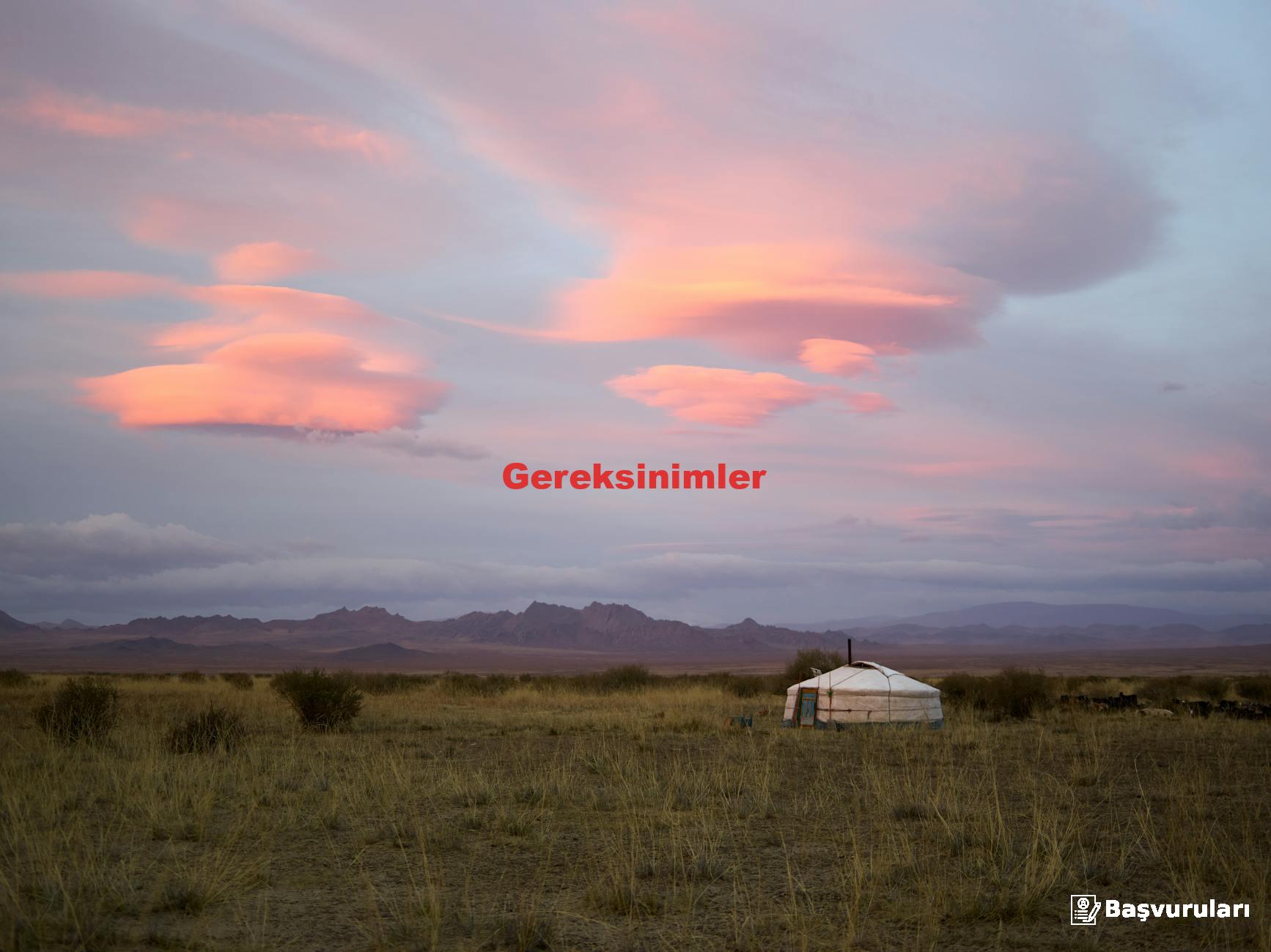Gereksinimler