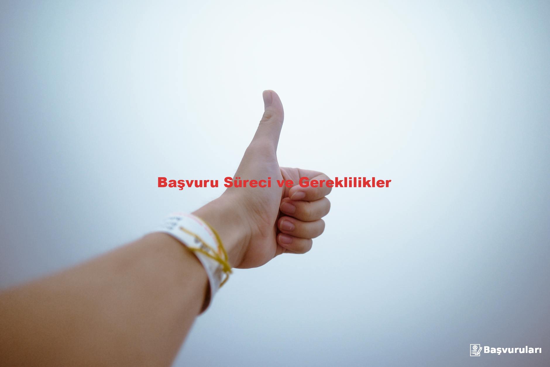 Başvuru Süreci ve Gereklilikler