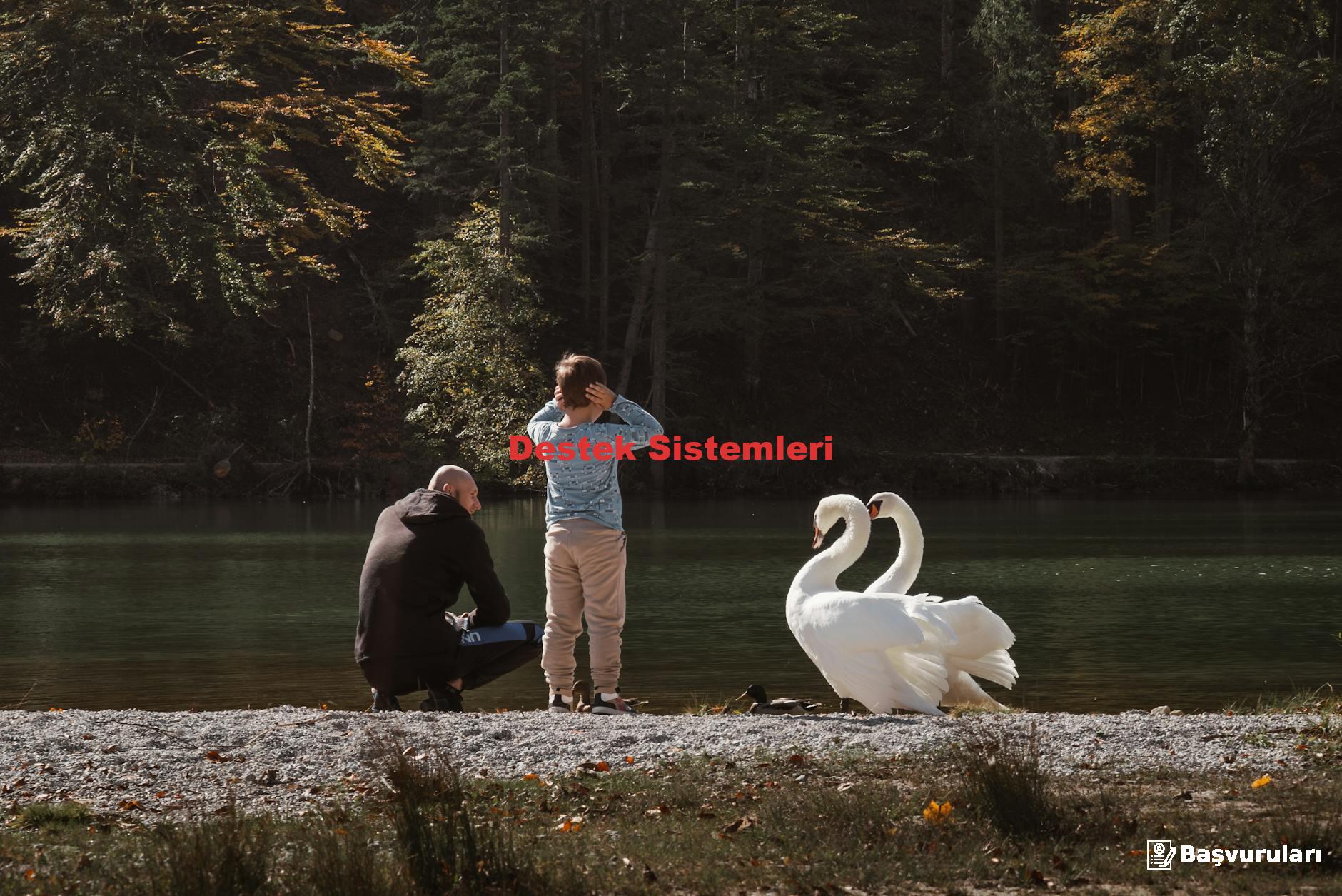 Destek Sistemleri