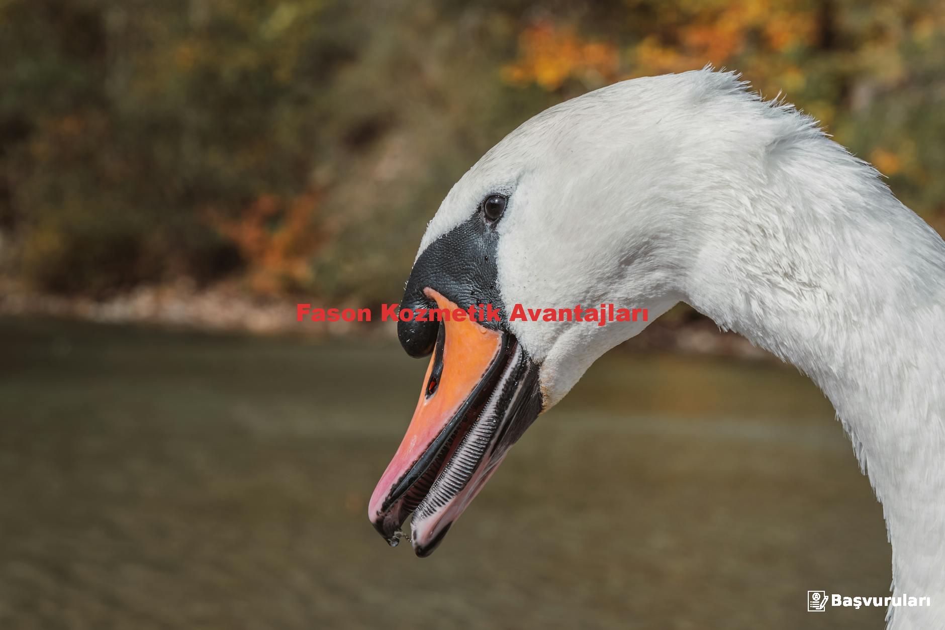 Fason Kozmetik Avantajları