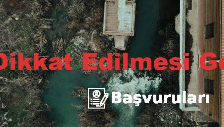 Dil Kursu Seçerken Dikkat Edilmesi Gerekenler Maltepe’de