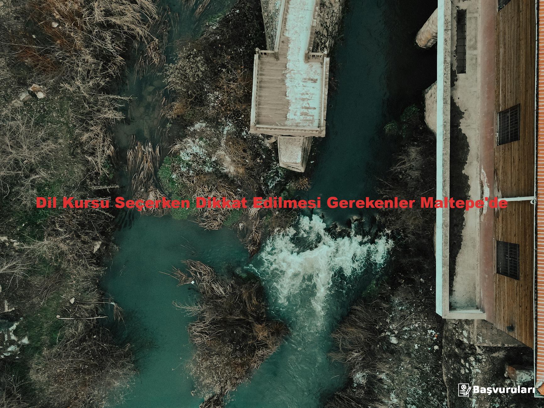 Dil Kursu Seçerken Dikkat Edilmesi Gerekenler Maltepe'de