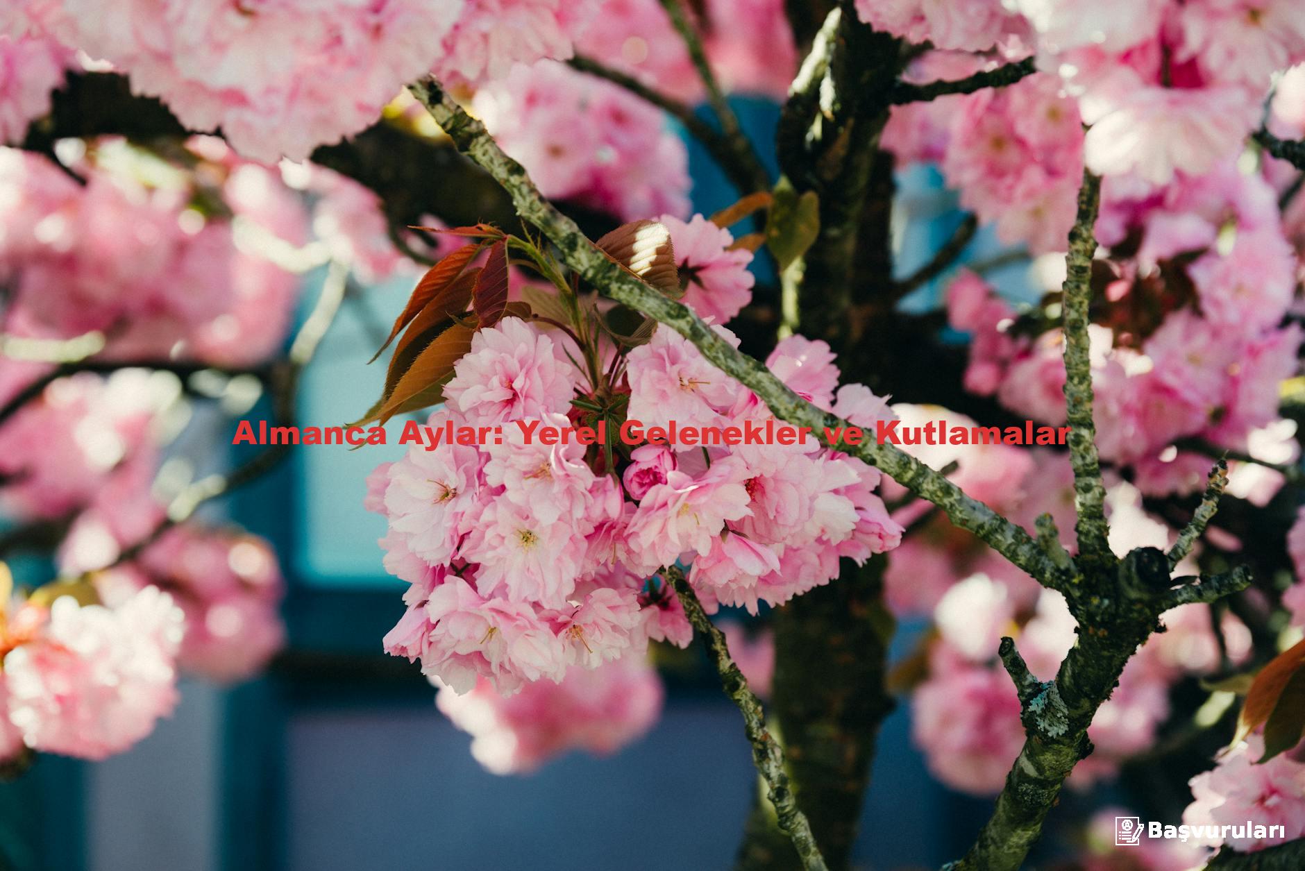 Almanca Aylar: Yerel Gelenekler ve Kutlamalar