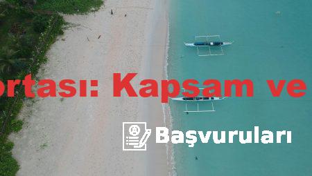 Araç Sigortası: Kapsam ve Faydaları