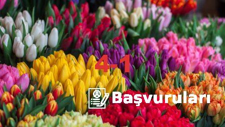 Bursa’da Çiçeklerinizi Nasıl Uzun Süre Taze Tutarsınız?