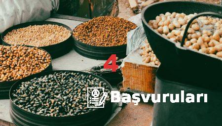 Antep fıstığı ile yapabileceğiniz pratik tarifler!