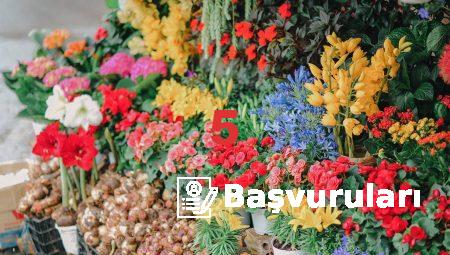 Aksaray Çiçekçilerinin En İyi Tasarımları