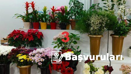 Floksia.com ile Çiçek Gönderiminde Hızlı Çözüm